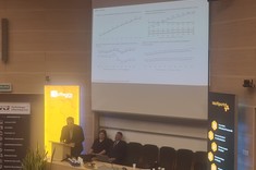 dr hab. inż. Dominik Strzałka